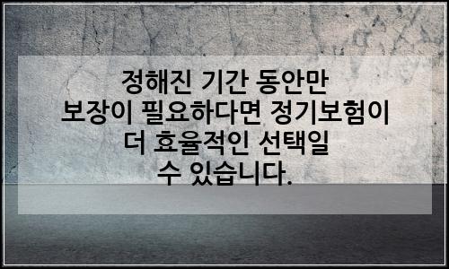 오늘의 이미지