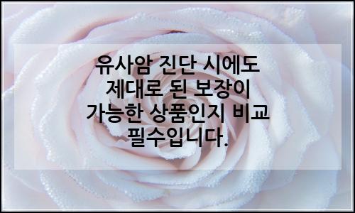 오늘의 이미지
