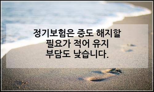 오늘의 이미지