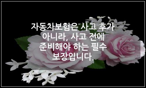 오늘의 이미지