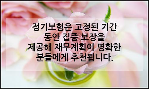 오늘의 이미지