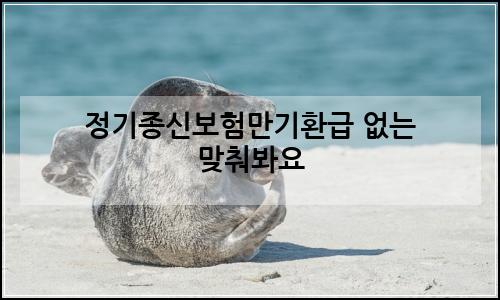 오늘의 이미지