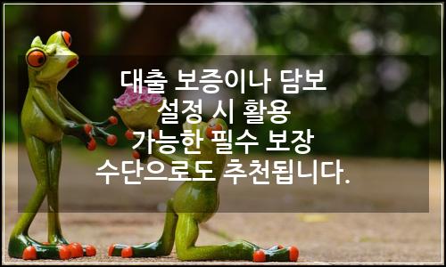 오늘의 이미지