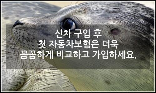 오늘의 이미지