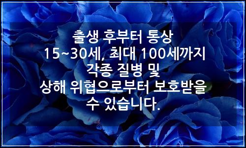 오늘의 이미지