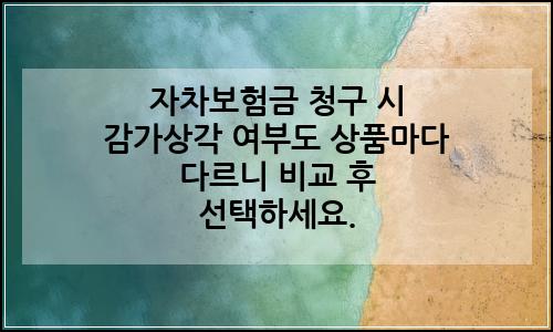 오늘의 이미지