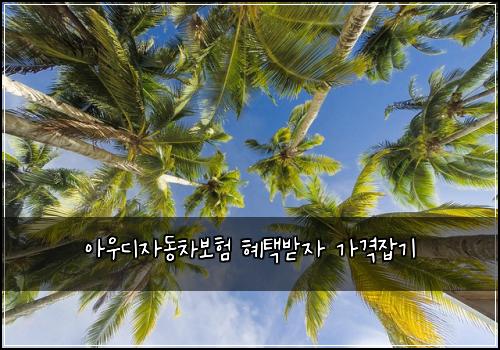 아우디자동차보험 혜택받자  가격잡기