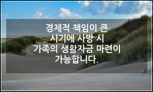 오늘의 이미지