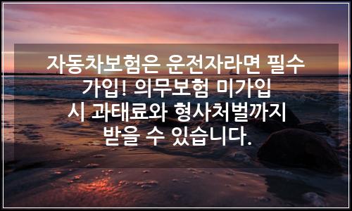 오늘의 이미지