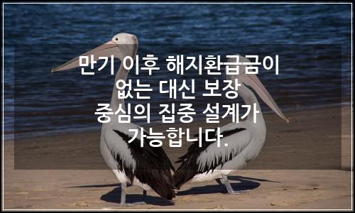 오늘의 이미지