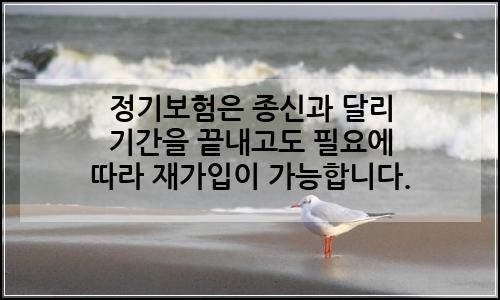 오늘의 이미지