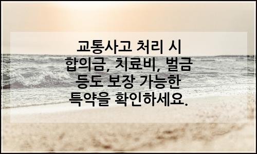 오늘의 이미지