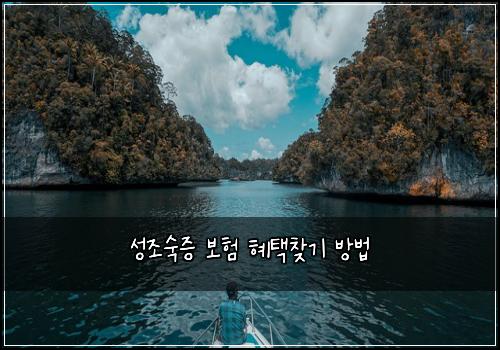 ์ฑ์กฐ์์ฆ ๋ณดํ ํํ์ฐพ๊ธฐ ๋ฐฉ๋ฒ