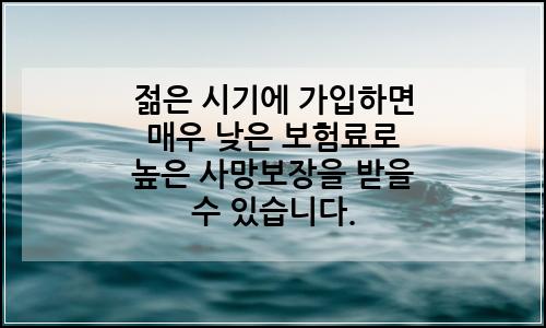 오늘의 이미지