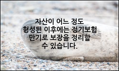오늘의 이미지