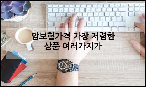 오늘의 이미지