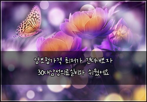 μ보νκ°κ²© μ΅μ κ° κ²¬λλ΄λ³΄μ 30λλ¨μ±μλ£μ€λΉμ μ¬μ μ΄μ