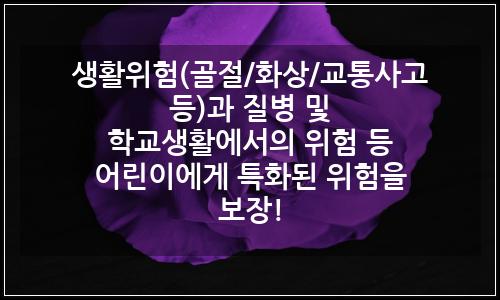 오늘의 이미지
