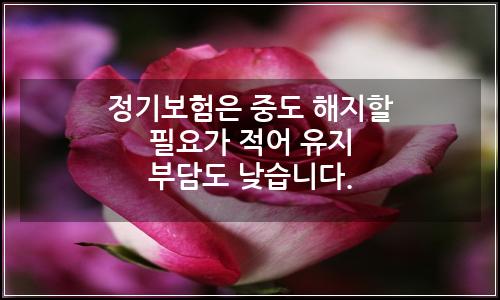 오늘의 이미지