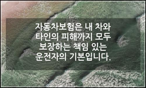 오늘의 이미지