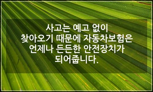 오늘의 이미지
