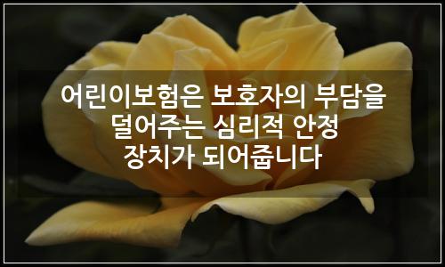 오늘의 이미지