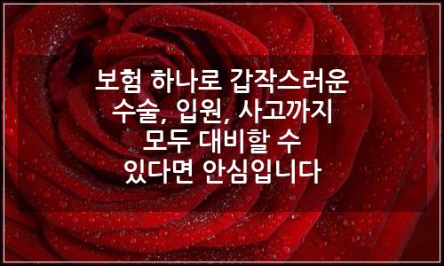 오늘의 이미지