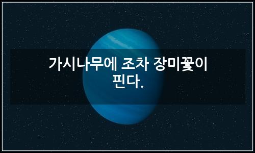오늘의 이미지