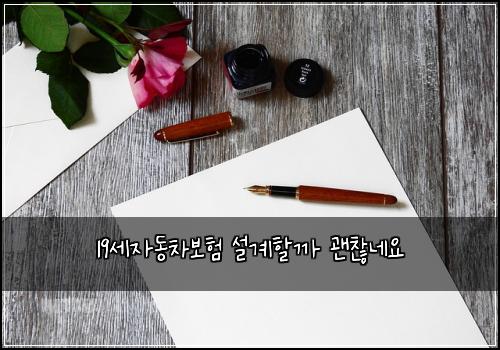 19์ธ์๋์ฐจ๋ณดํ ์ค๊ณํ ๊น ๊ด์ฐฎ๋ค์