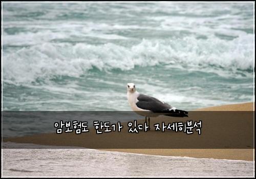 ์๋ณดํ๋ ํ๋๊ฐ ์๋ค ์์ธํ๋ถ์