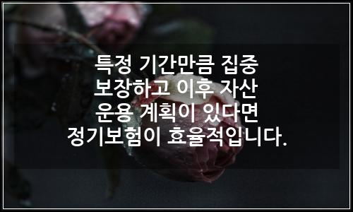 오늘의 이미지
