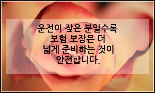 오늘의 이미지
