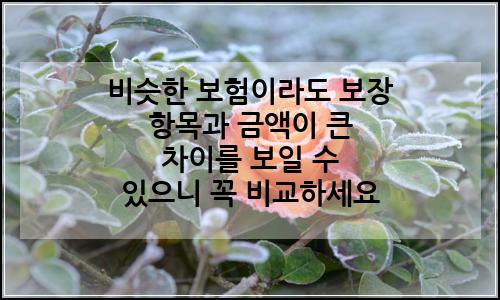 오늘의 이미지