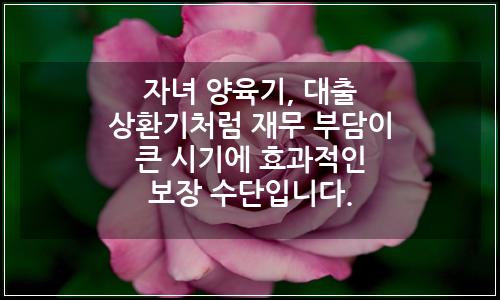 오늘의 이미지