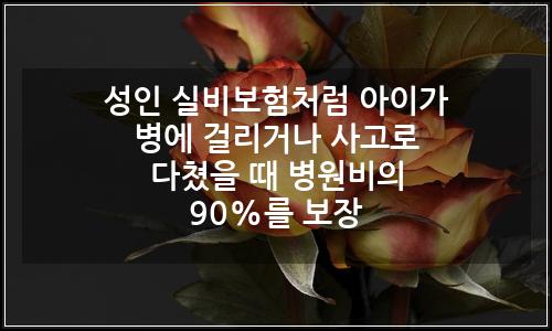 오늘의 이미지