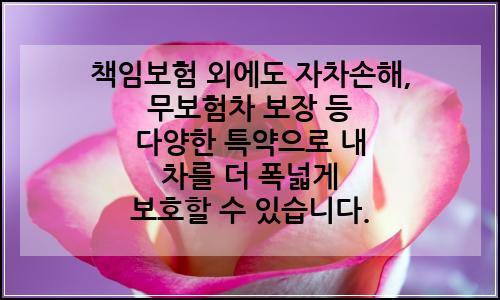 오늘의 이미지