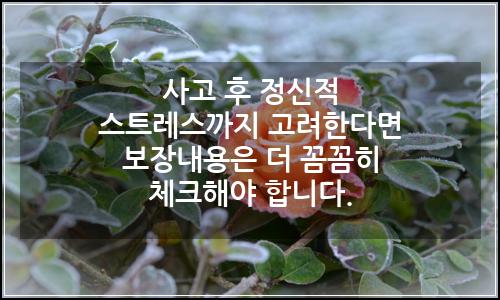 오늘의 이미지