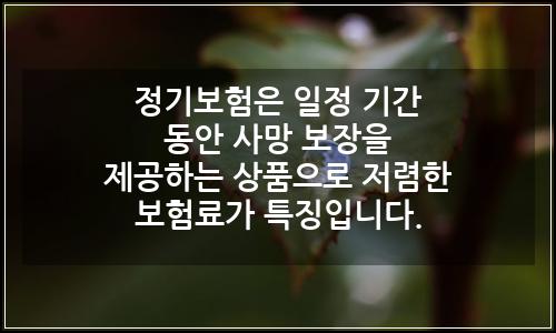 오늘의 이미지