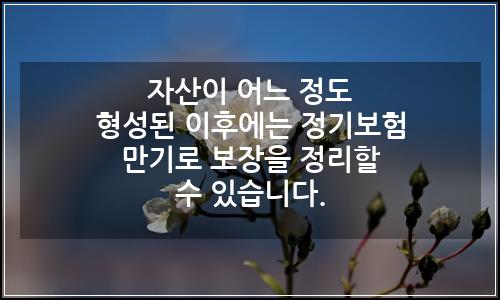 오늘의 이미지