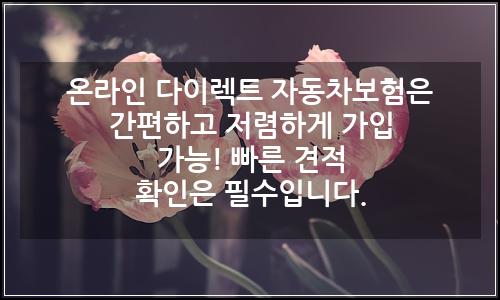 오늘의 이미지