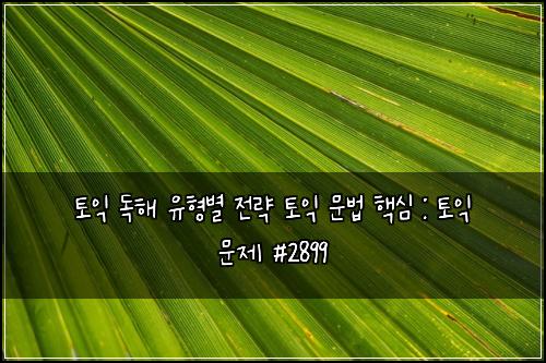 토익 독해 유형별 전략 토익 문법 핵심 : 토익 문제 #2899