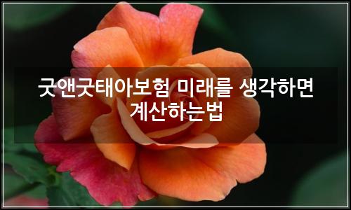 오늘의 이미지
