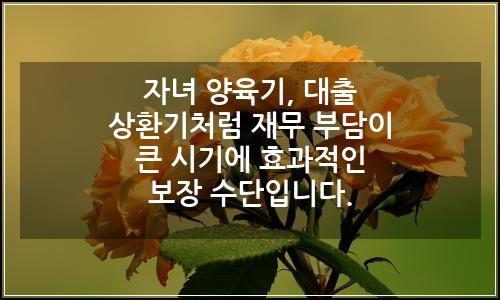 오늘의 이미지
