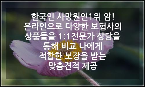 오늘의 이미지