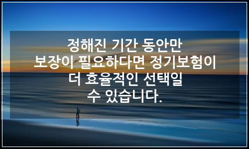 오늘의 이미지
