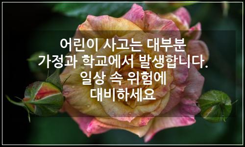 오늘의 이미지