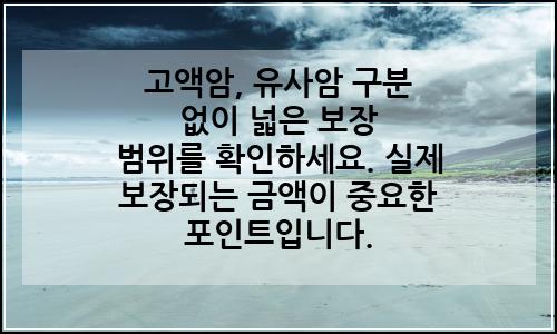 오늘의 이미지