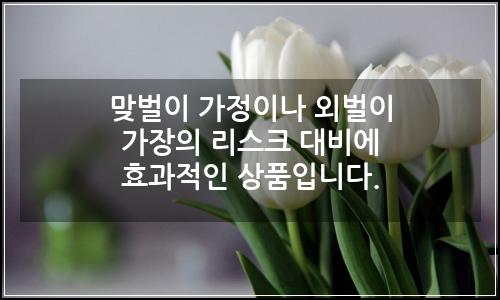오늘의 이미지