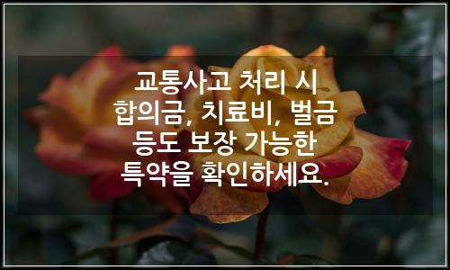 오늘의 이미지