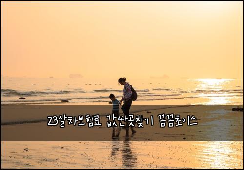 23살차보험료 값싼곳찾기 꼼꼼초이스
